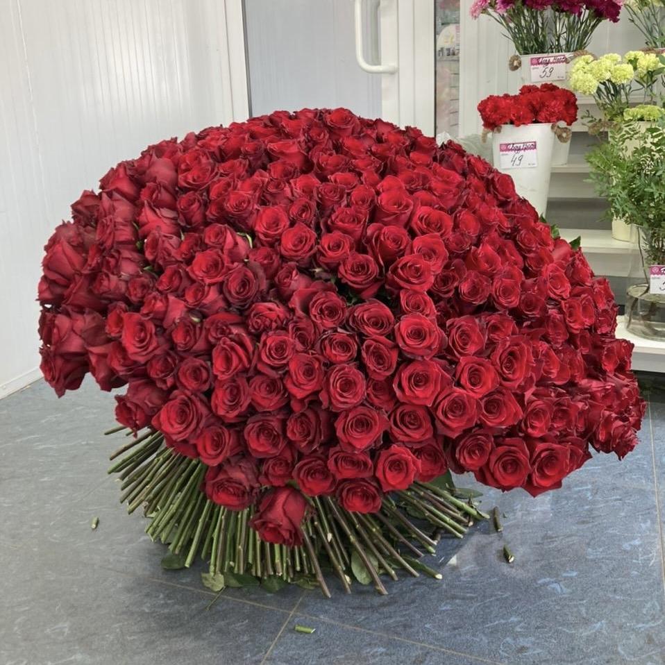 Букеты из красных роз 80 см (Эквадор) (код  198768)