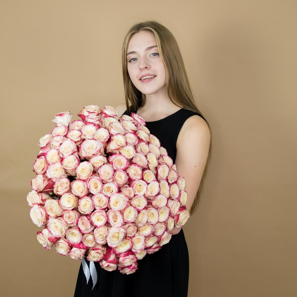 Розы красно-белые (40 см) Эквадор [№  492]