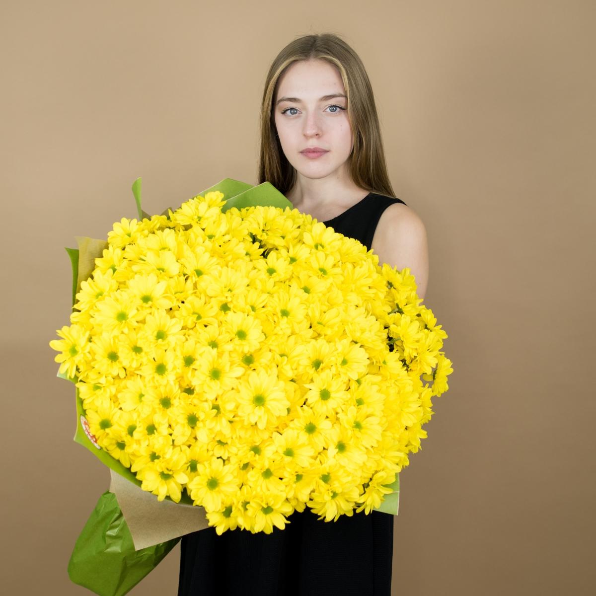 Хризантема кустовая желтая (код  90692)